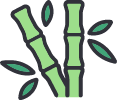 Bamboo
